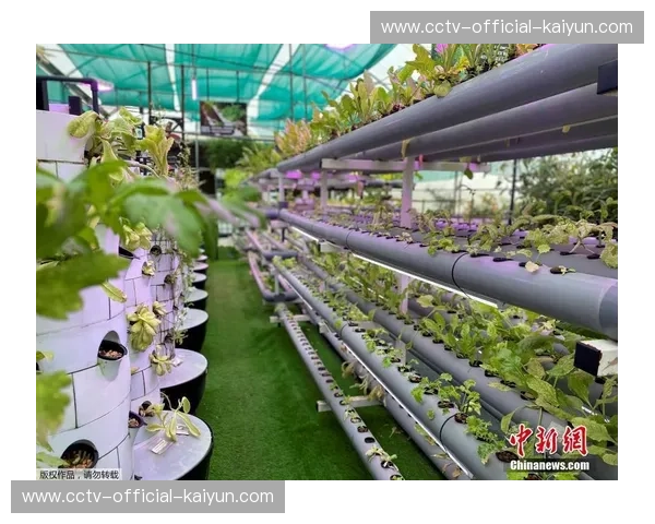 萨尔达尼亚加盟阿联酋沙迦FC，亚洲联赛转会市场动态